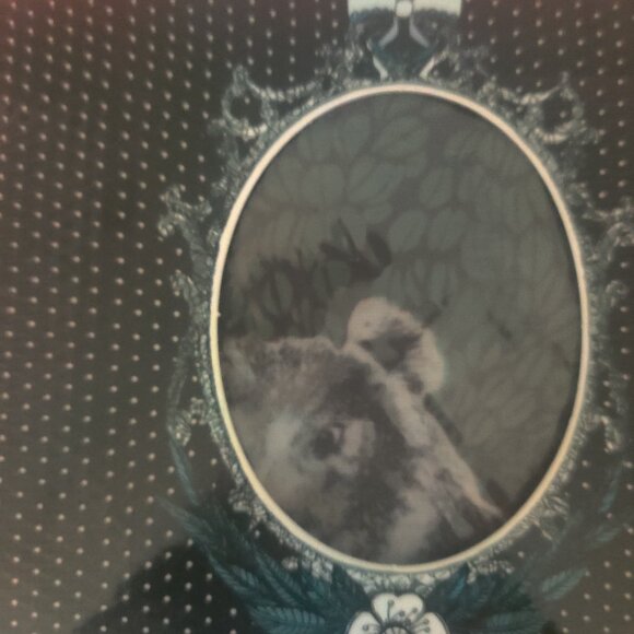 Marie Antoinette tights size 2xl New - Picture 3 of 3